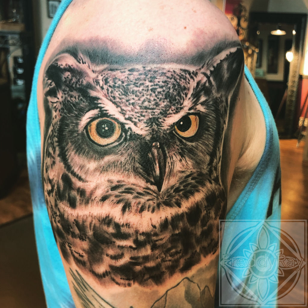 freddyray:owl