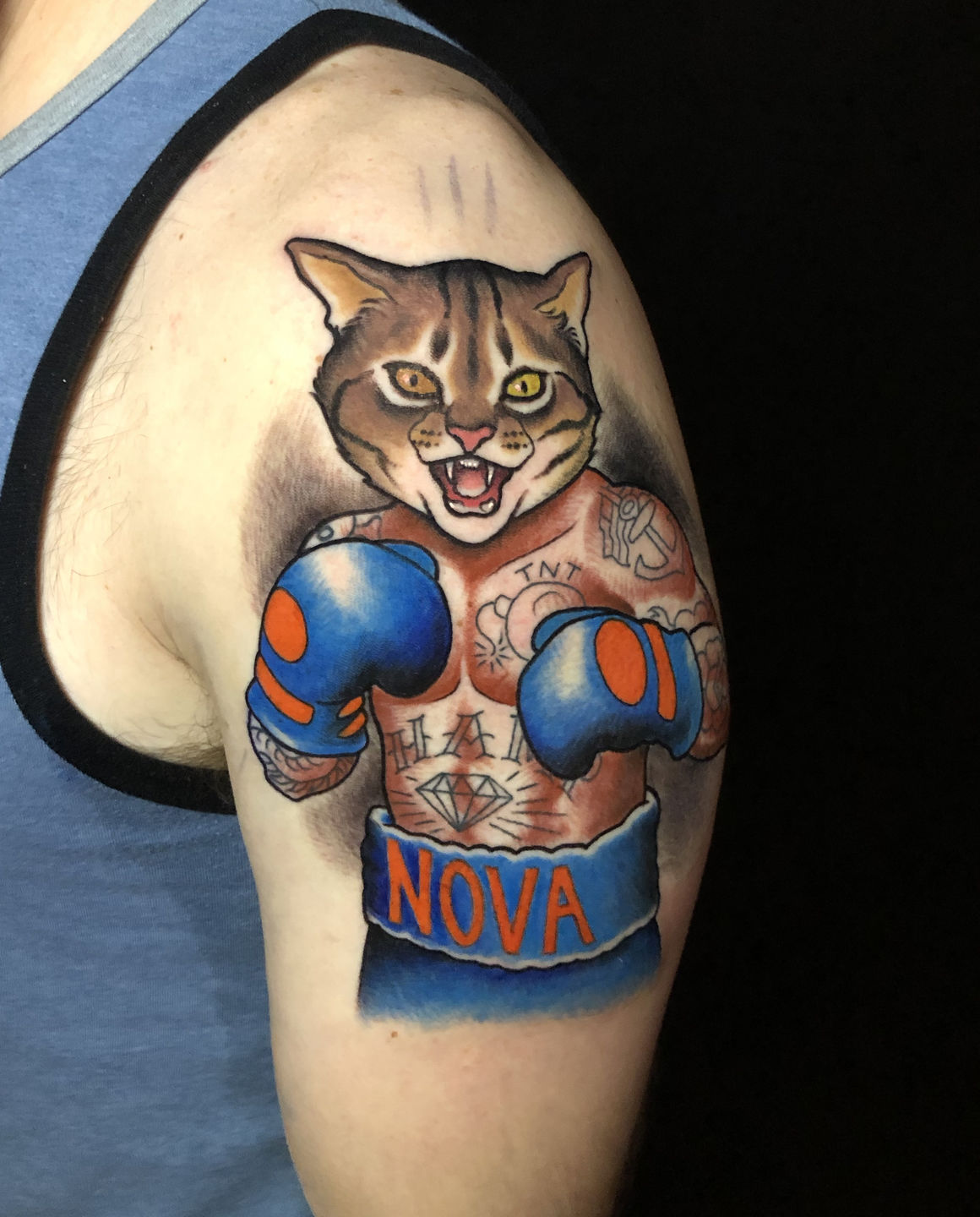 Boxing_cat