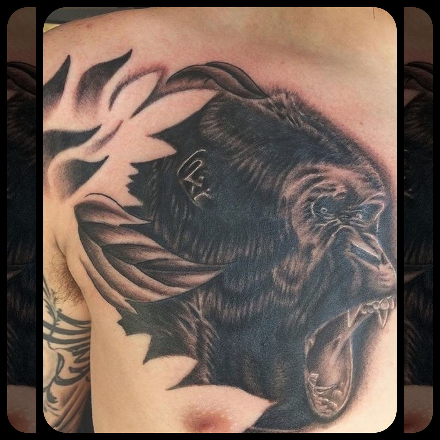 Silverback Gorilla Tattoo Design | Gorilla tattoo, Silverback gorilla,  Gorilla