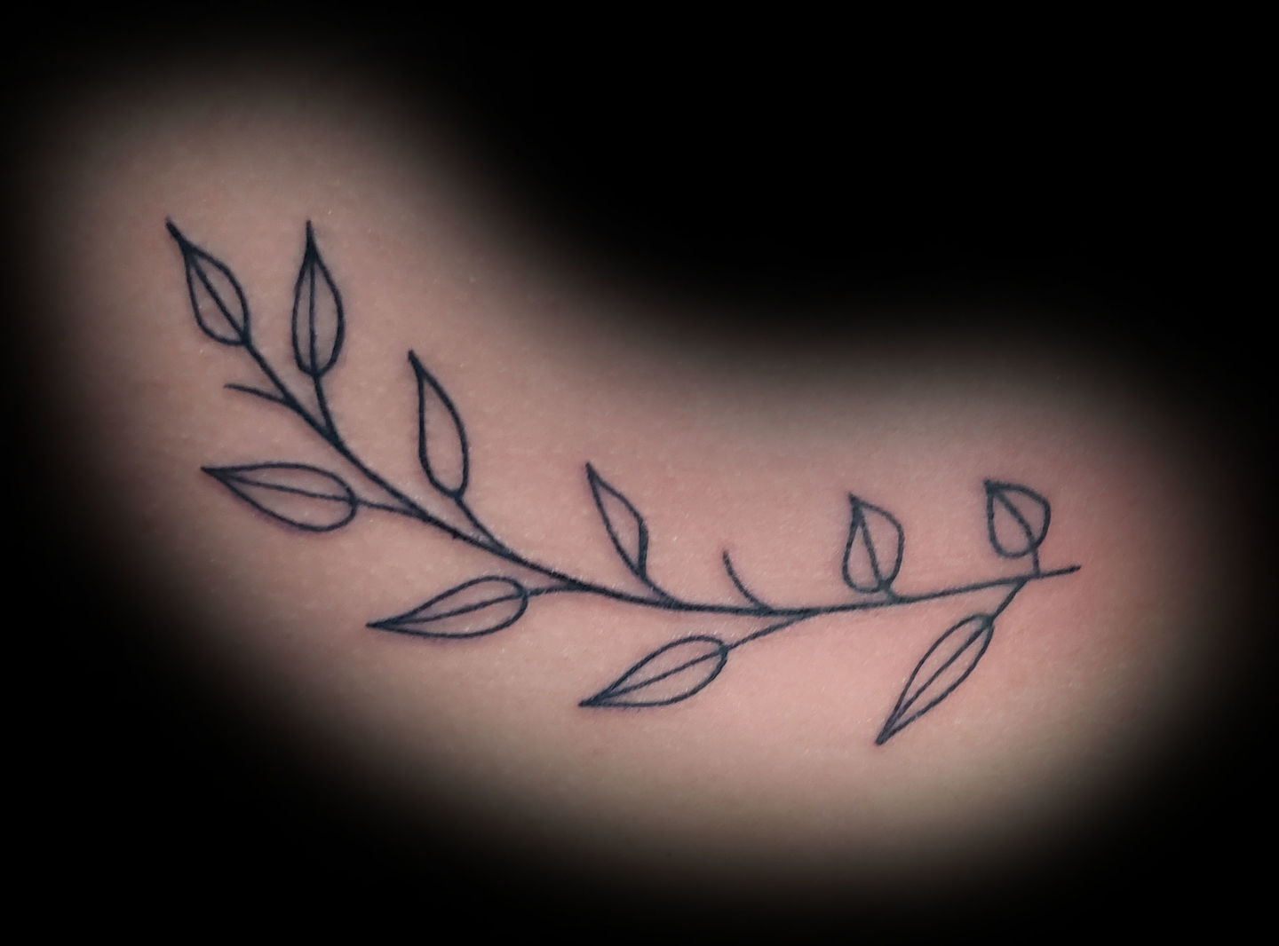 Leaf_linework