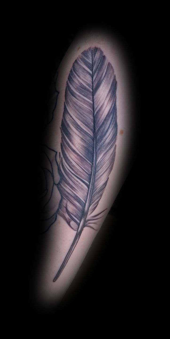 Feather