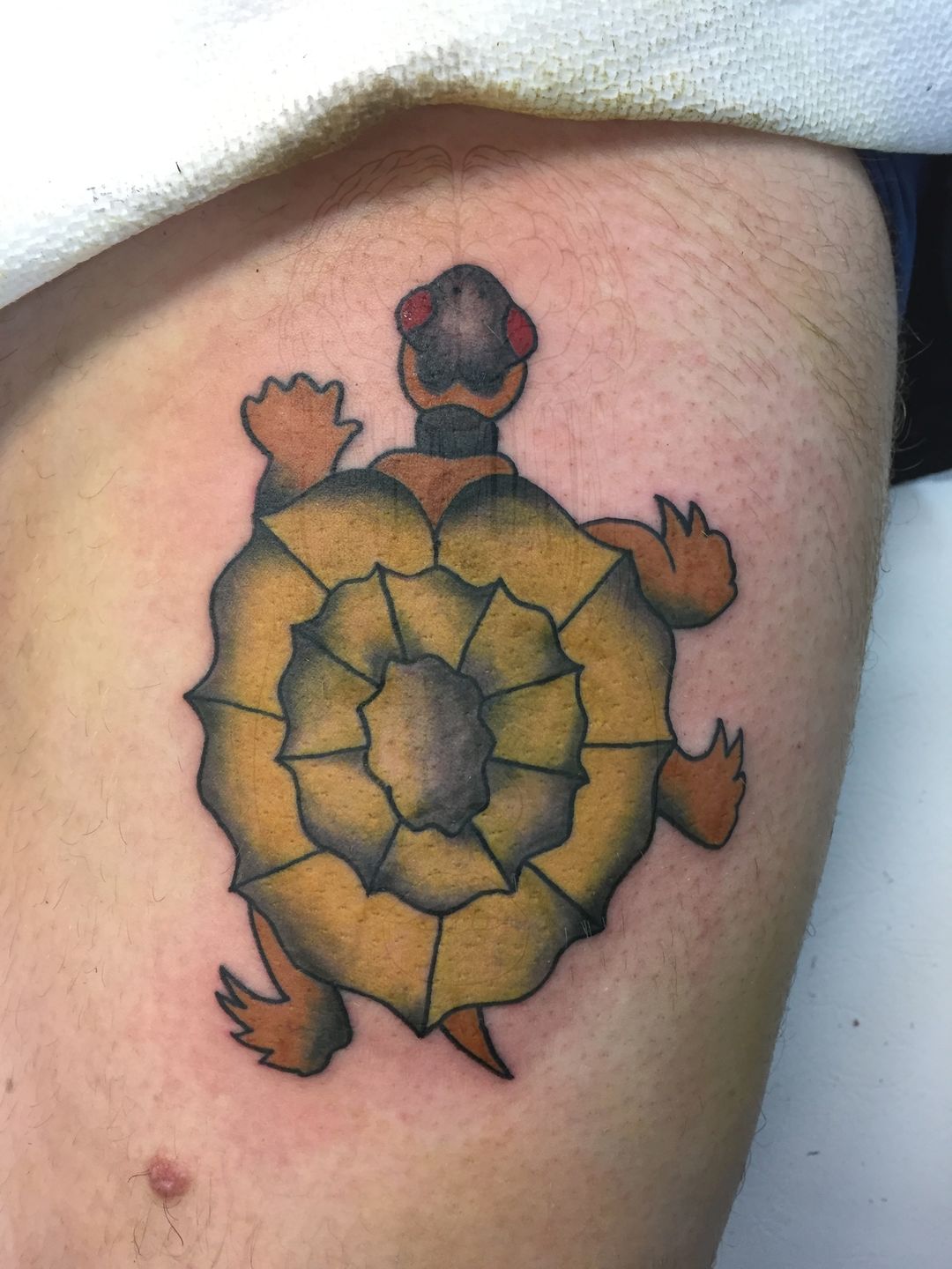 Shellback  Tatuajes Tatuajes de lobos