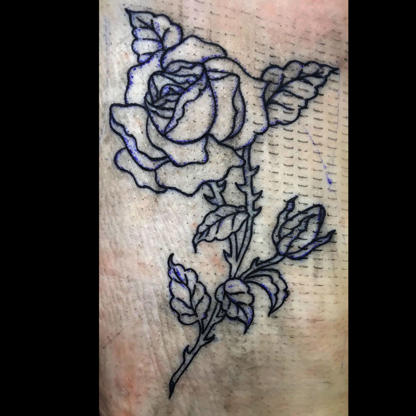 justinemurasky:rose-tattoo-on-pig-skin-tattoo-tattoo-art-tattoo-apprentice- pigskin-tattoo-practice-practice-tattoo-rose-tattoo