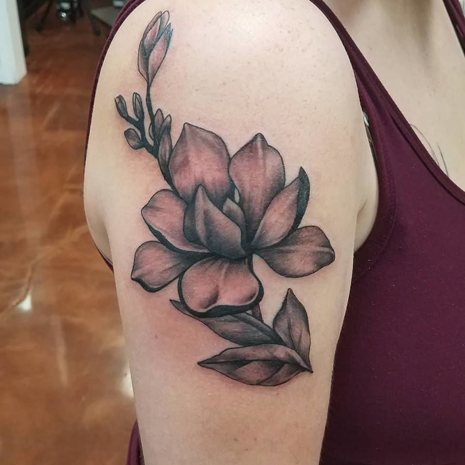 Latest Magnolia Tattoos | Find Magnolia Tattoos