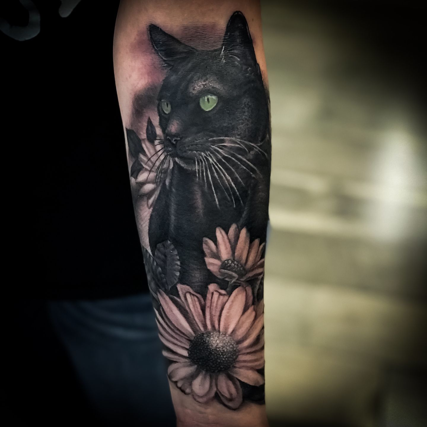 Black Cat On The Moon Temporary Tattoo - Set of 3 – Tatteco