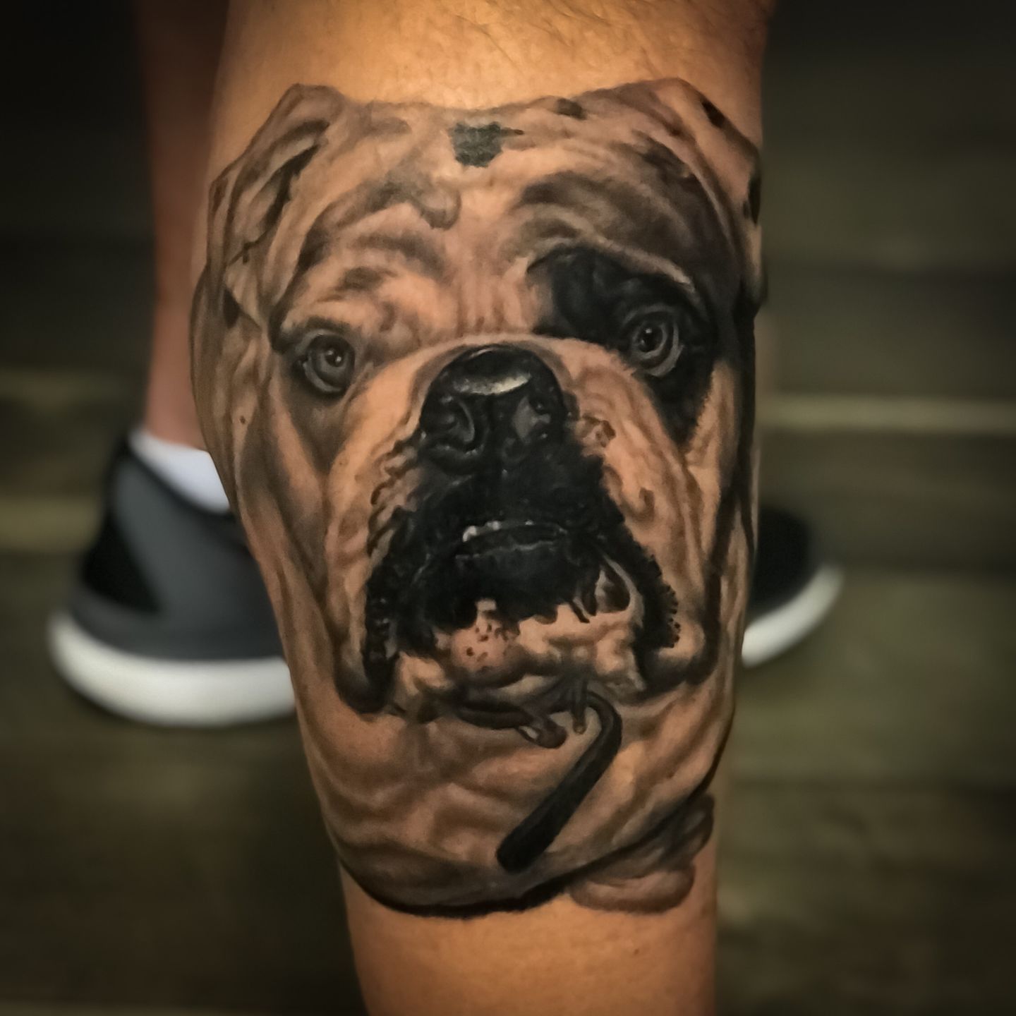 Latest Bulldog tattoo Tattoos | Find Bulldog tattoo Tattoos