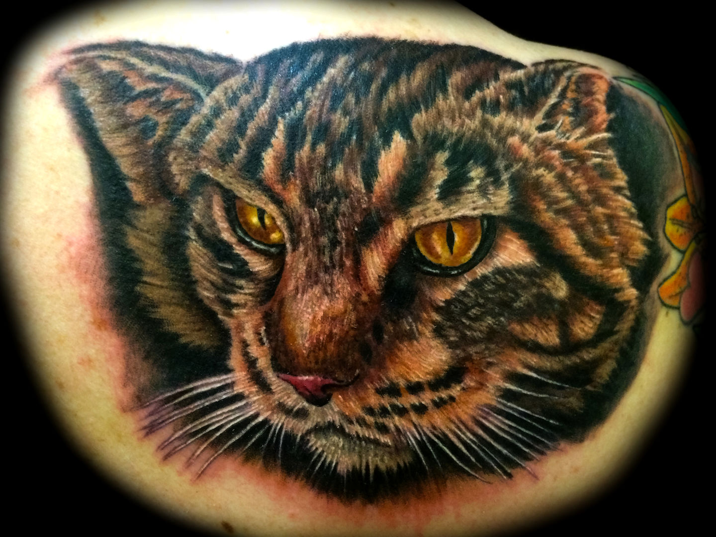 Cat_tattoos