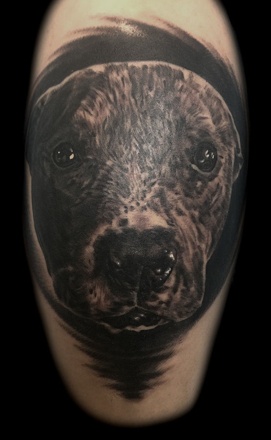 Best-las-vegas-tattoo-artists-shops-pitbull-portrait-tattoos