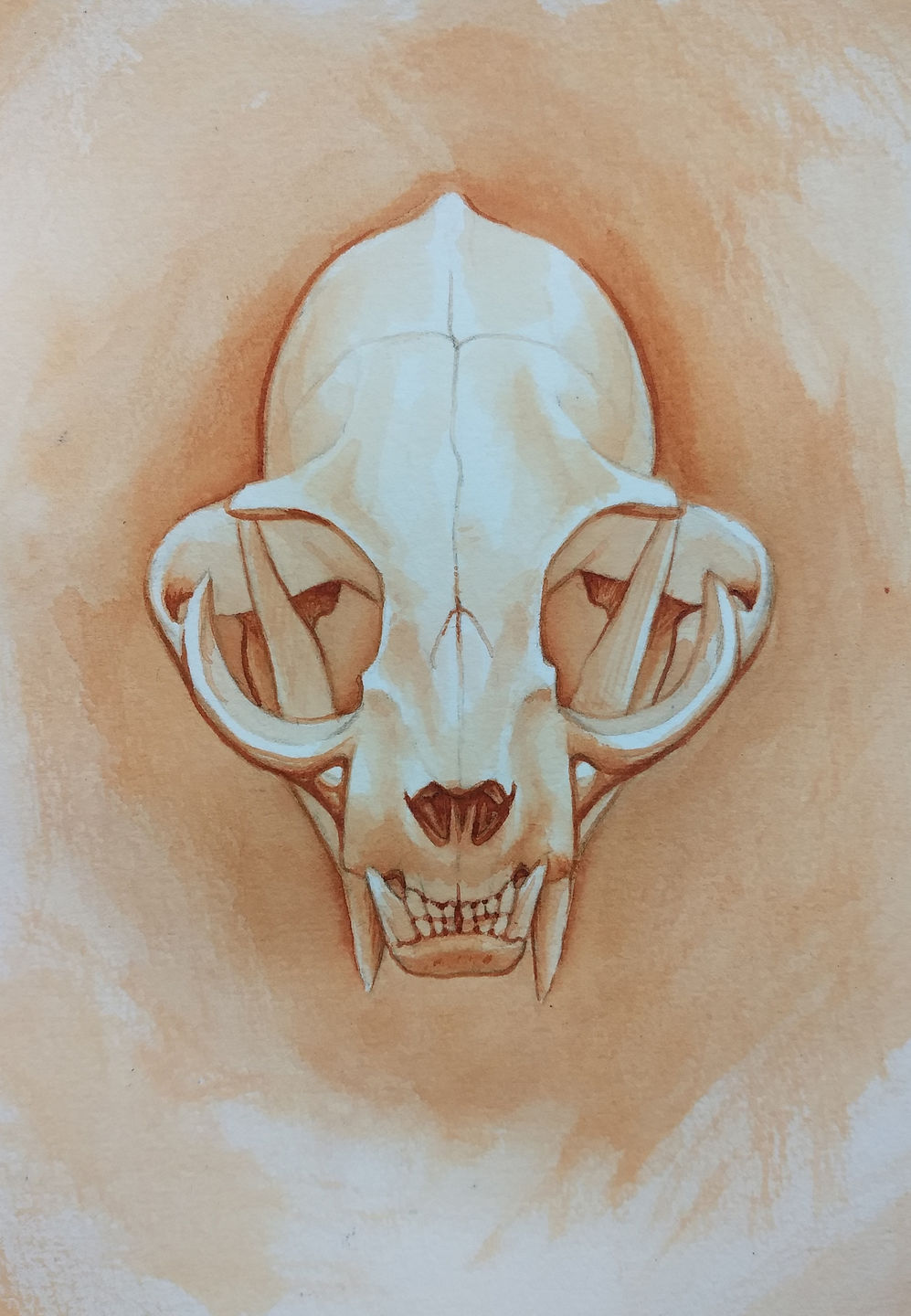 Catskullpainting