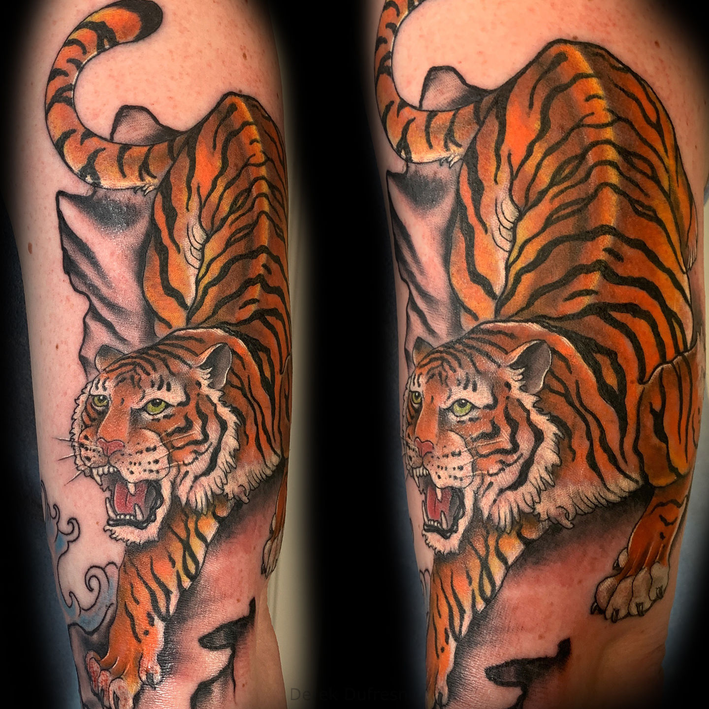 Derek_dufresne-_tiger