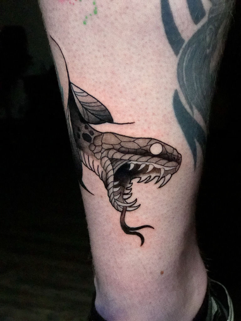 Snake head from my flash. Done by me @charlie.rufino down at Aces High  Tattoo, Sandiego CA : r/TattooApprentice