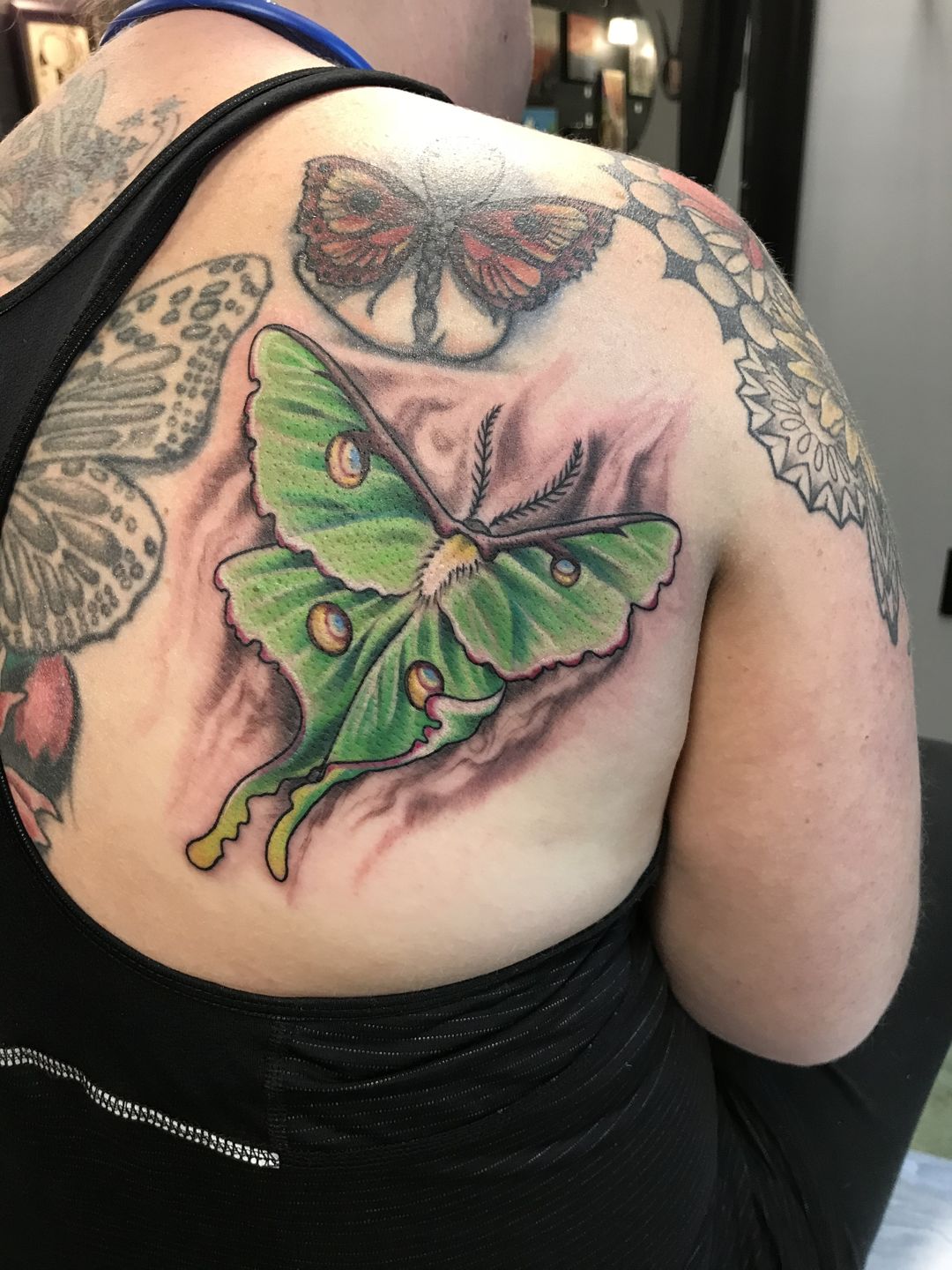 My new luna moth by Erin in Asheville NC  My man and I got each other  tats for a christmas present  rtattoo