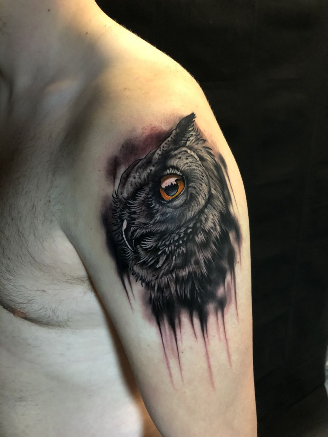 Paradise Tattoo Studio  How amazing is this bird of prey tattoo by  karlleao We love this black and grey realism  For appointments and  enquiries with Karl contact us helloparadisetattoostudioscom 01242