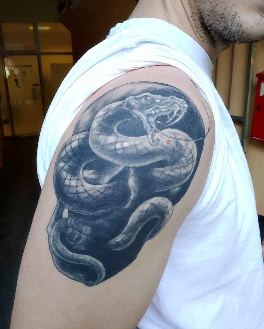 Latest Snake Tattoos | Find Snake Tattoos