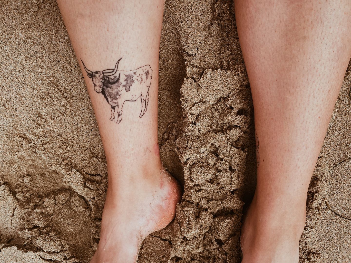 Cute cow tattoo #finelinetattoo #tattooideas #tattooinspo #finelinetat... |  TikTok