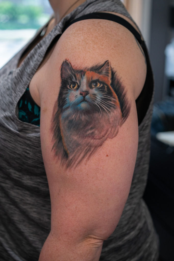 Two cats talking meme tattoo by Elena Cutri on Dribbble