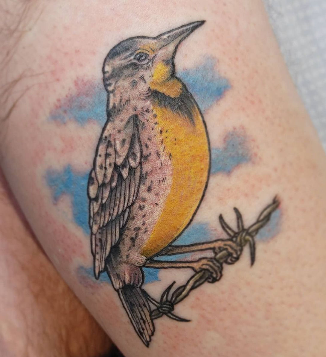 Wonderland Tattoo on Instagram A Western Meadowlark with Oregon Grape and  all the colors Done by ceceliatat2 