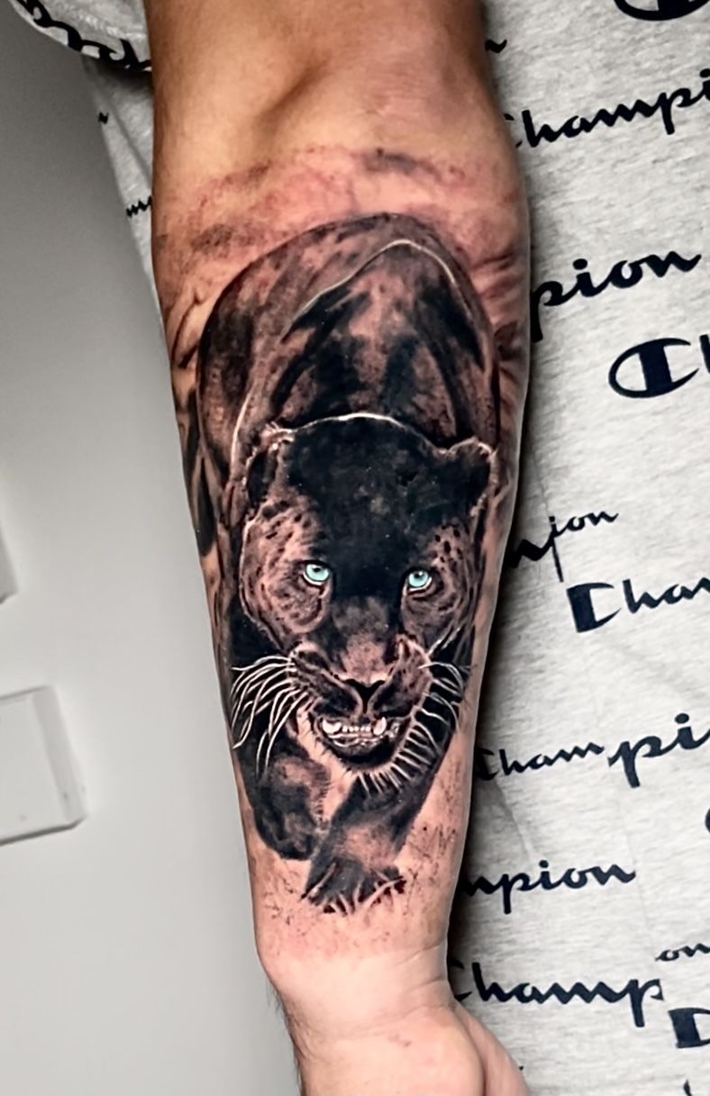63 Panther Tattoo Designs for Men [2024 Inspiration Guide] | Animals wild,  Wild cats, Beautiful cats