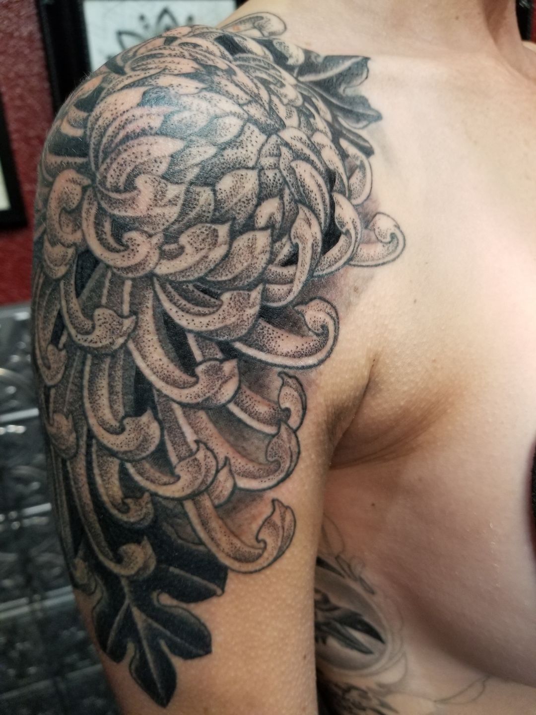 Chrysanthemum tattoo by Dia Moeller, fresh from the day I got it, healed  and settled 1 year, and aged 6 years : r/agedtattoos