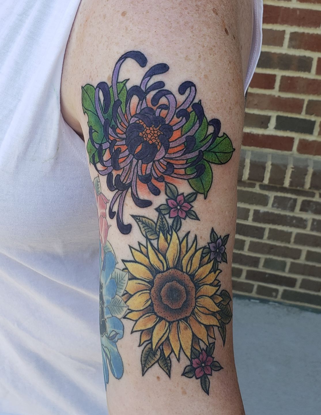 Chrysanthemum tattoo from my flash by me Olivia Hartranft Boston Street  Tattoo Lynn MA swipe to see flash  rtattoo