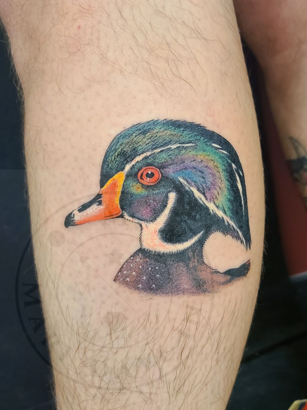 Santo Cuervo Tattoo on Twitter Stunning watercolour duck again here by  our talented may rydecaytattoosldn we love colour here and would love to  have some more watercolour brushstroke customdesign customtattoo  santocuervo santocuervotattoo 