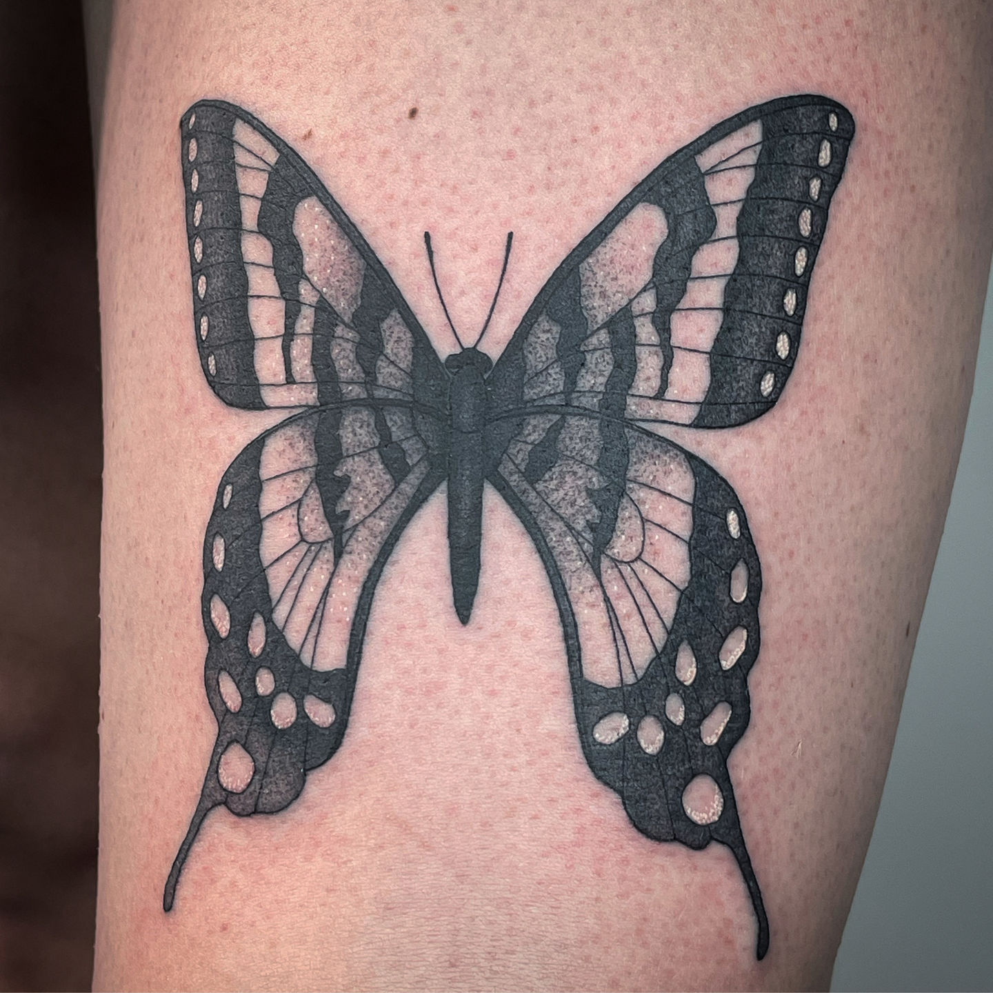 megancarrolltattoo:butterfly-huntsville-tattoo-artist -huntsville-alabama-alabama-tattoo-artist-birmingham-alabama-tattoo-artist -black-and-grey-artist-black-and-grey-tattoo-black-and-grey-butterfly-tattoo -butterfly-tattoo-butterfly-tattoo-inspiration