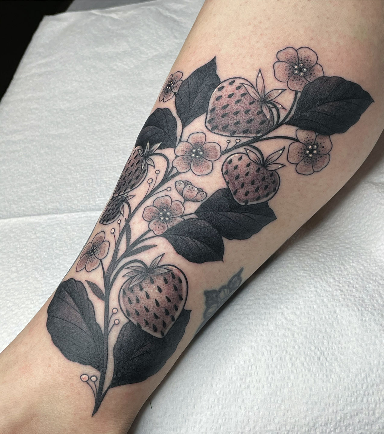 Aggregate more than 69 neo traditional strawberry tattoo best - in ...