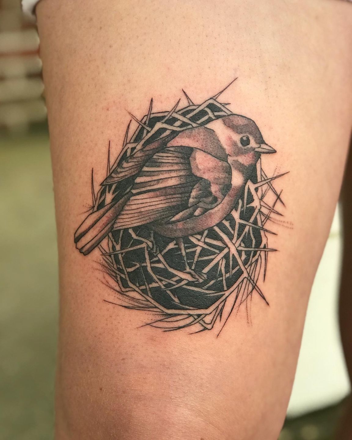 Three Bird Nest - Tattoo Bralette - Gray – Ivey Logan Boutique