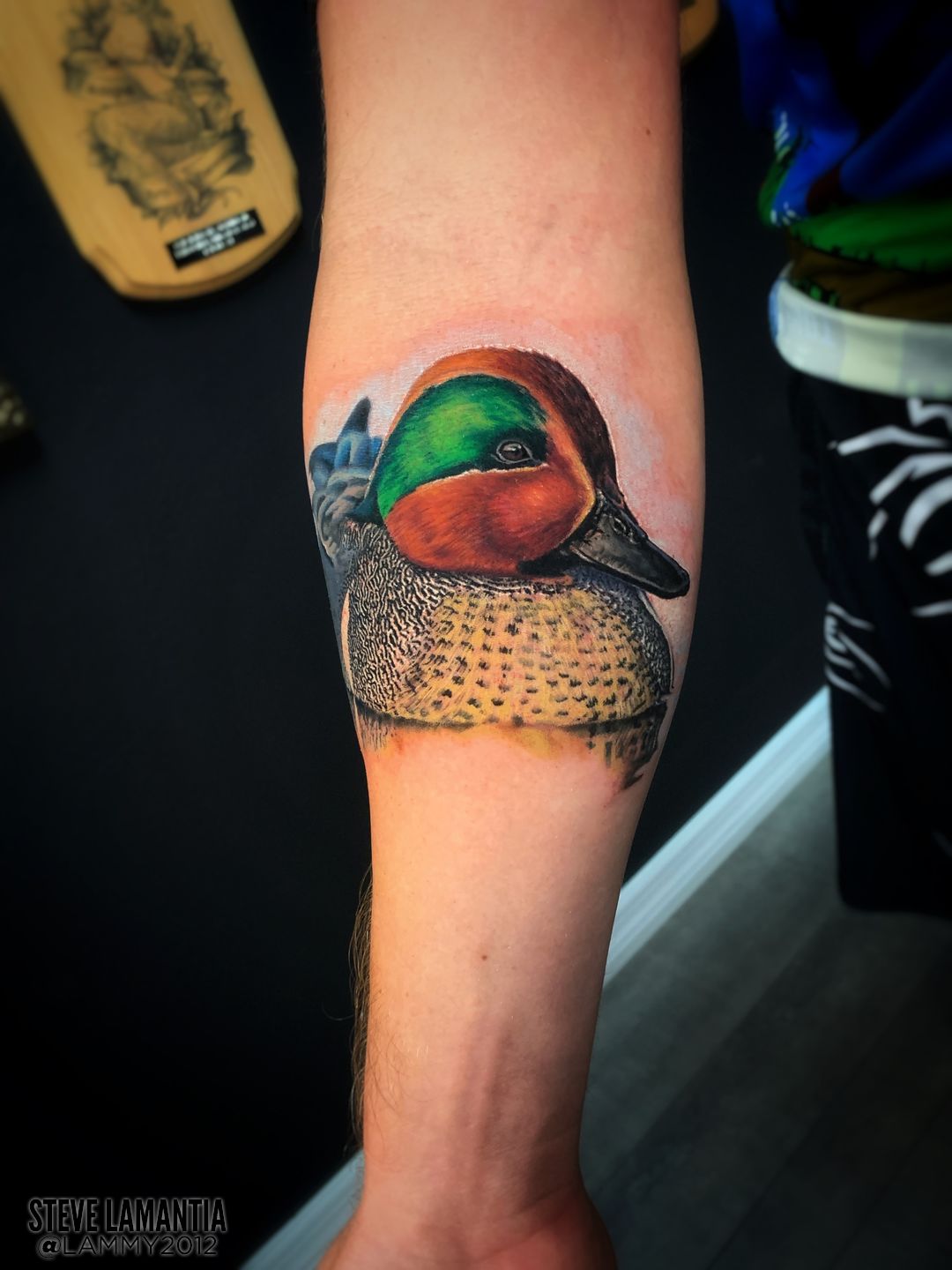 Brand new Mallard Duck tattoo : r/duck