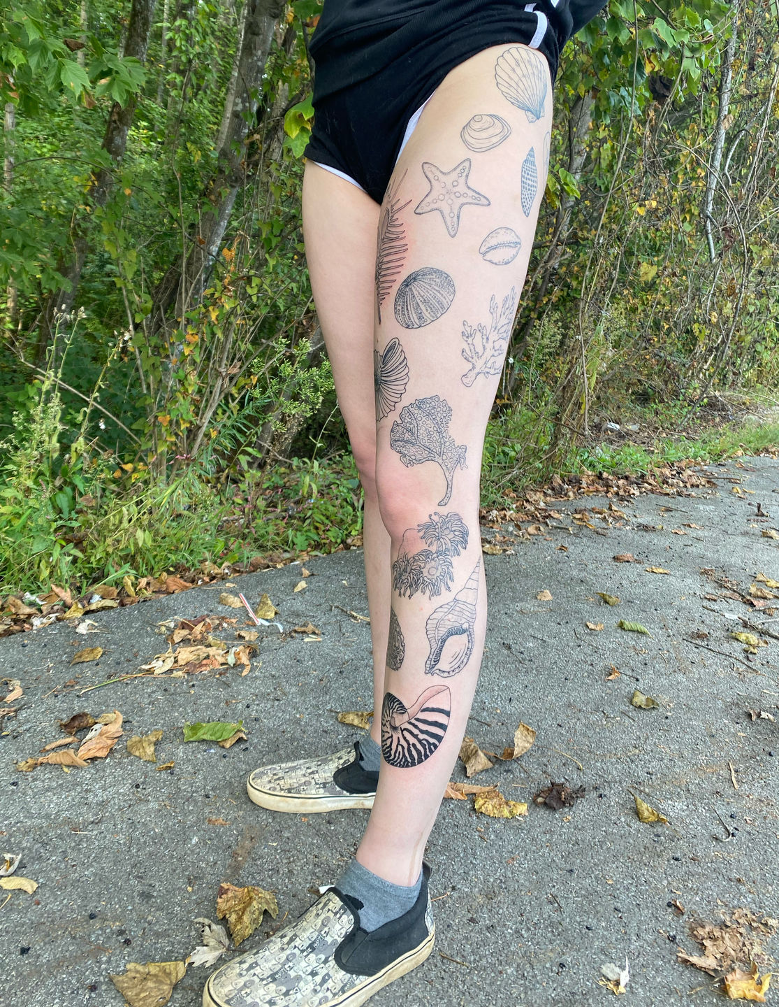 Lotus and Fern  a tattoo by Northern Black