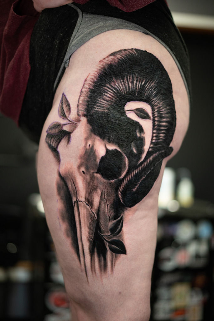 Ram Skull Tattoo on Back | TikTok