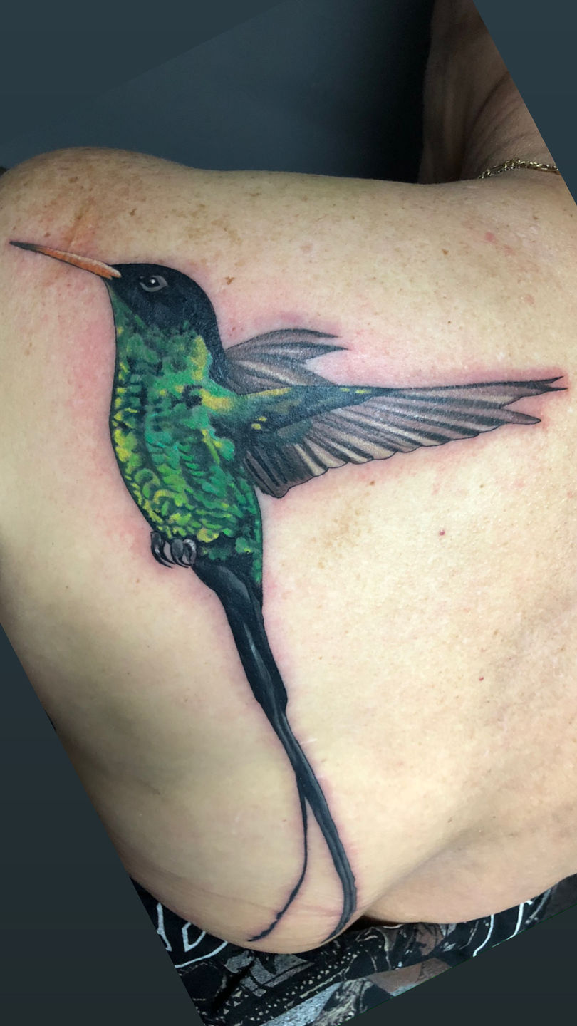 Jamaican Doctor Bird Temporary Tattoo Sticker  OhMyTat