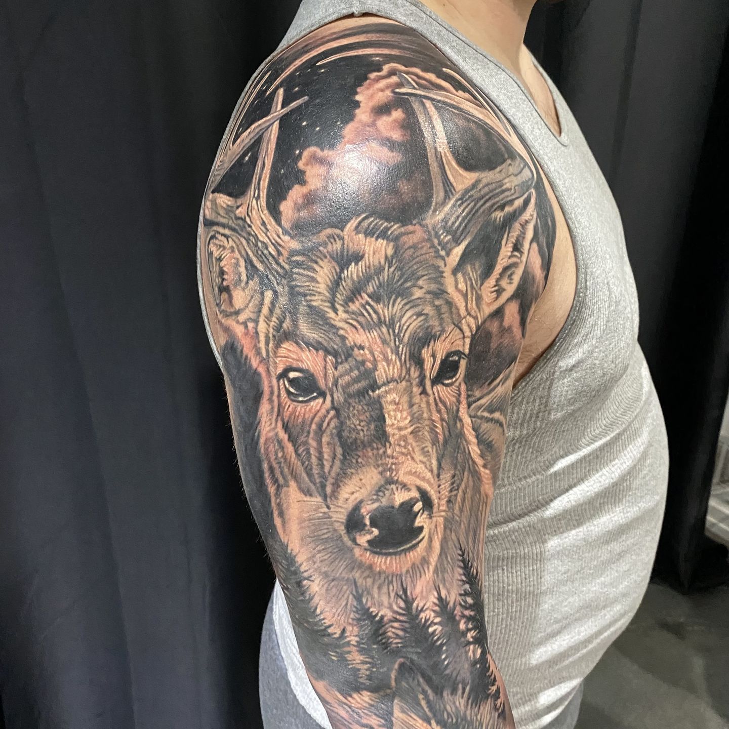 Pin on Deer Tattoo