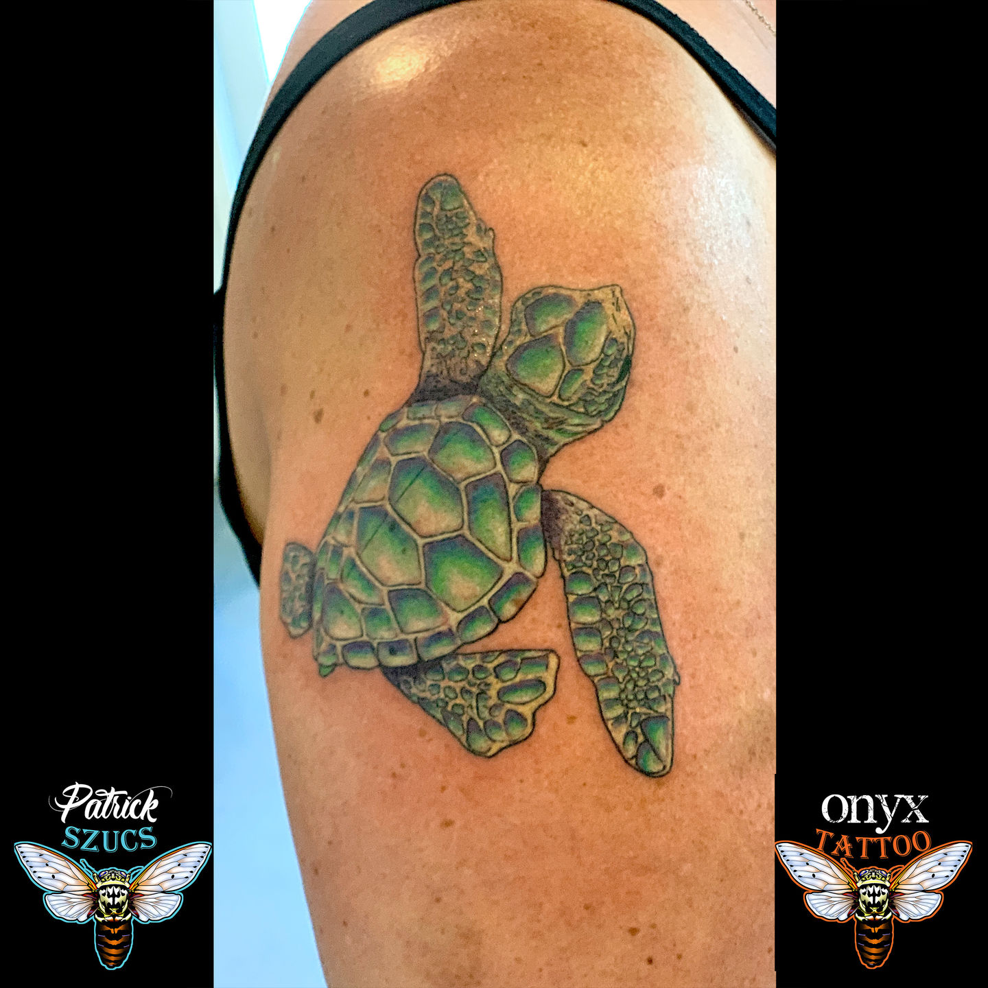 Sea Turtle Tattoo by Mike DeVries: TattooNOW