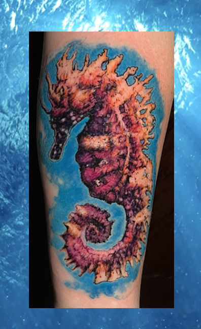 Pin by Karina ludeña on Verano | Seahorse tattoo, Tattoos, Horse tattoo