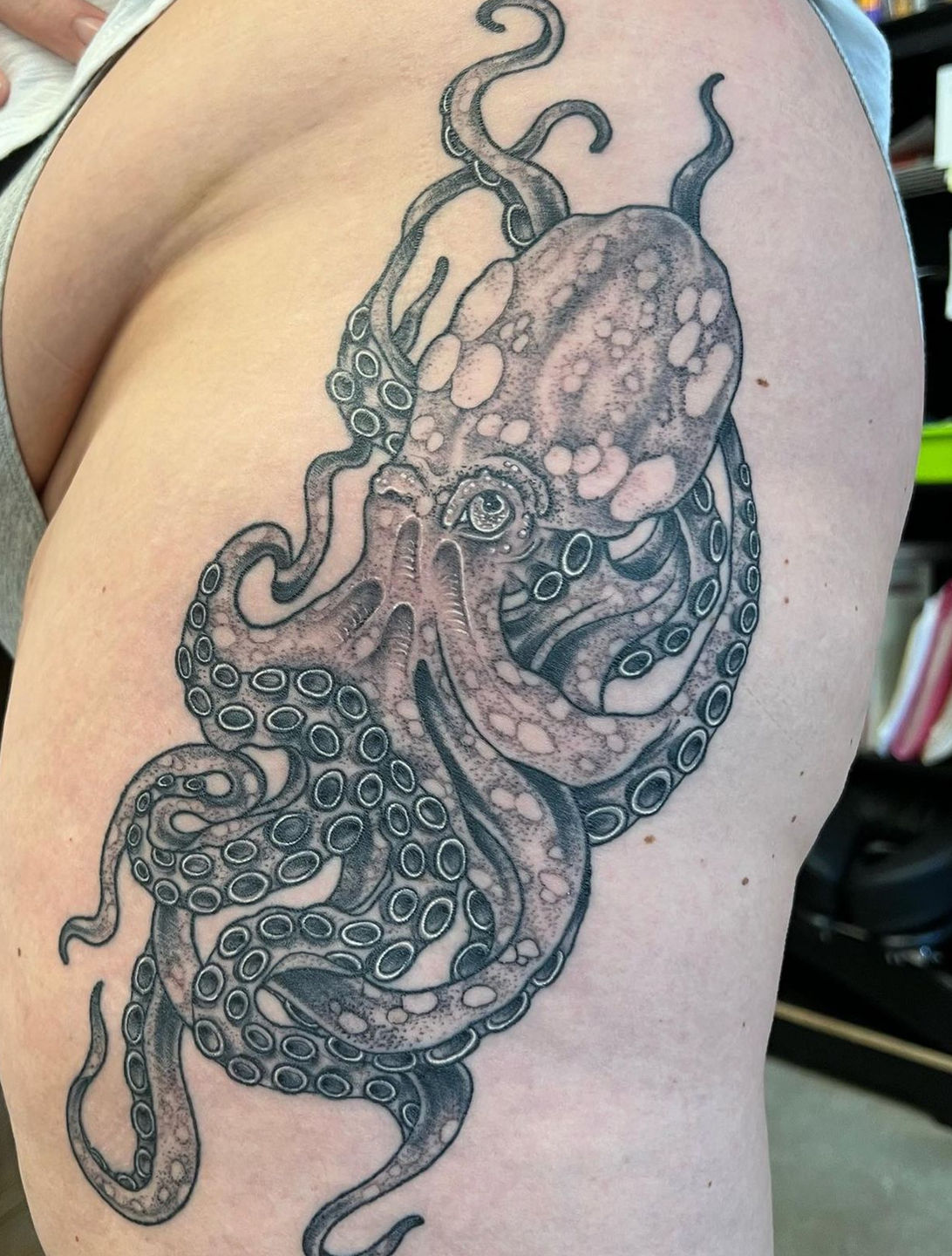 Octopus