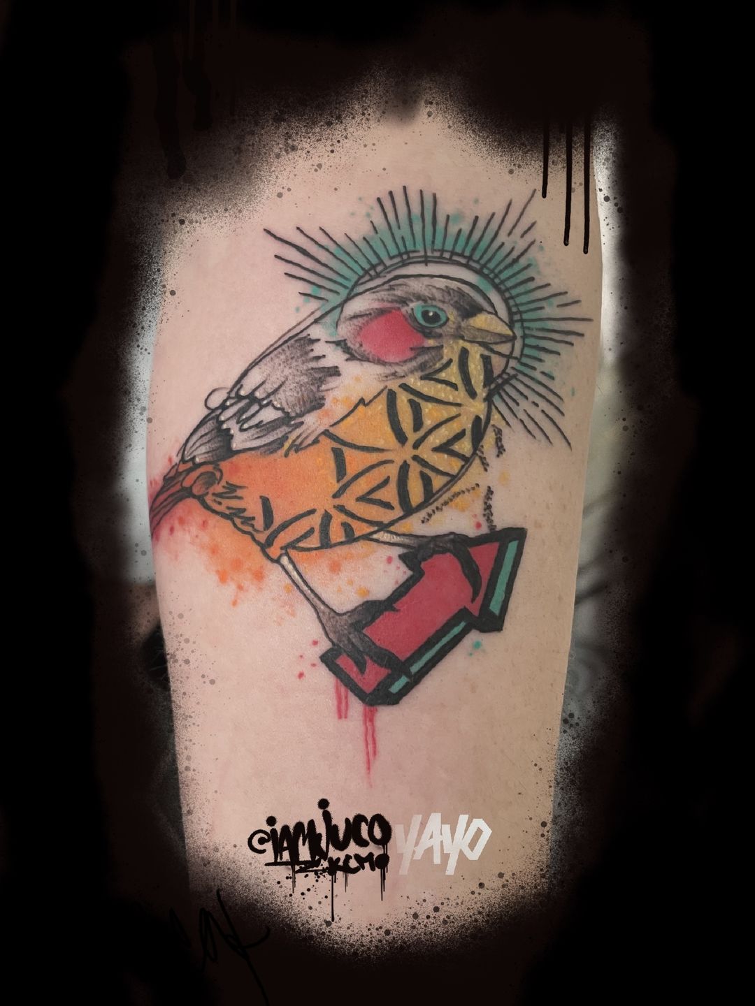 Watercolor bird tattoos on feet - Tattoogrid.net