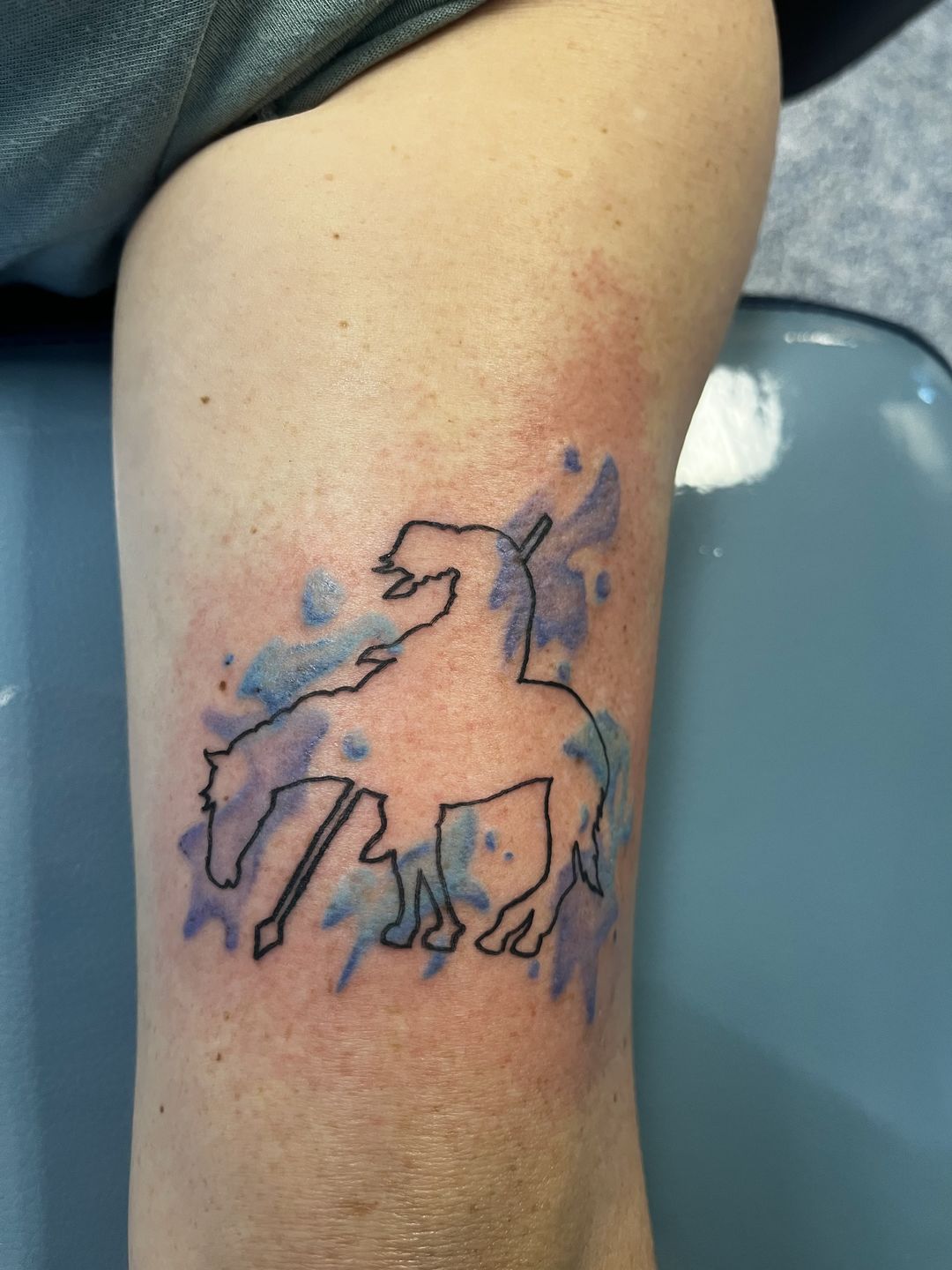 Deftones white pony tattoo | Deftones tattoo, White tattoo, Deftones white  pony