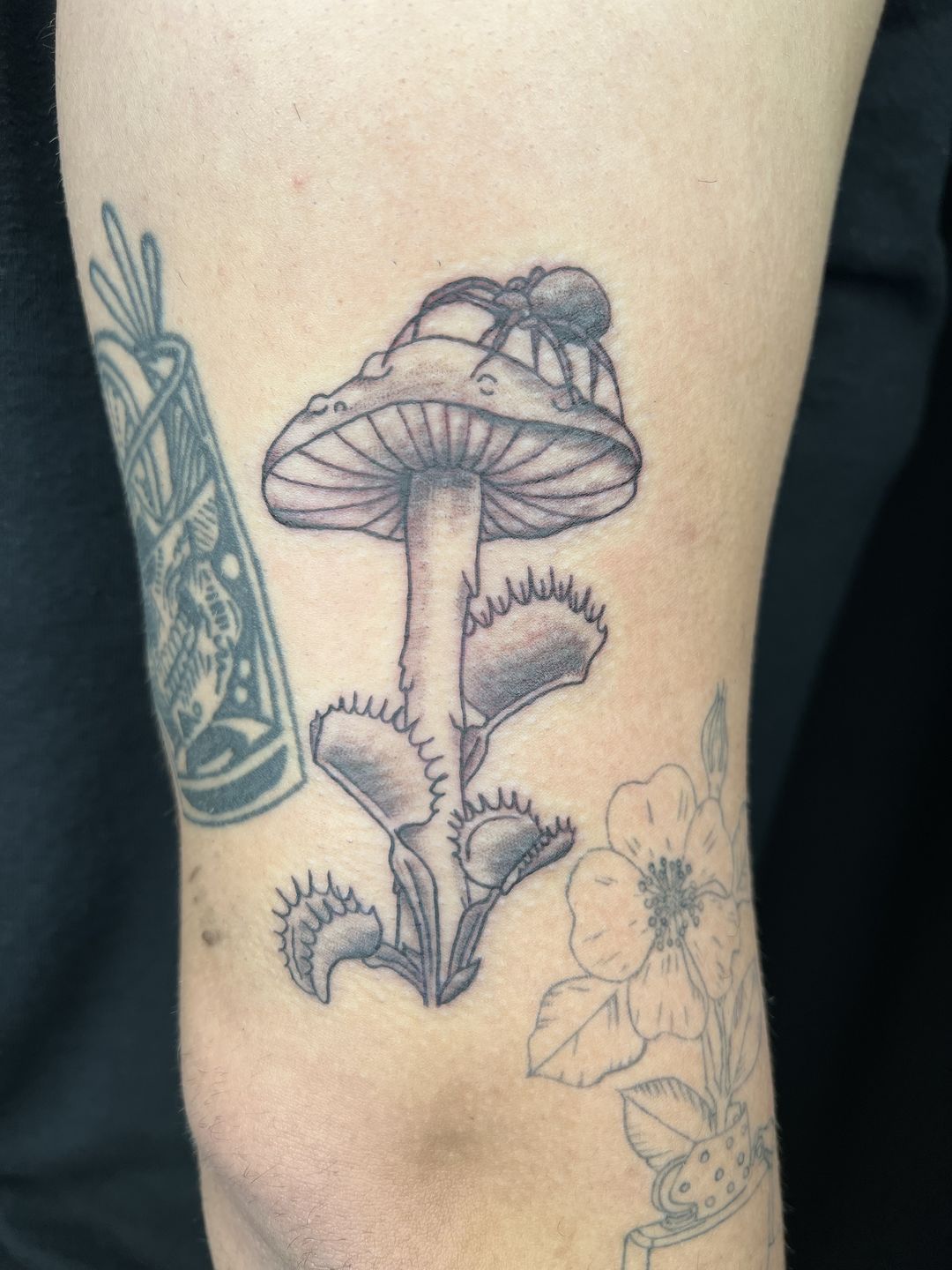 Fresh mushrooms done by Tom Payne @ Thanks Tattoo, Sydney. The little  spider & web are my favourite detail. : r/tattoos