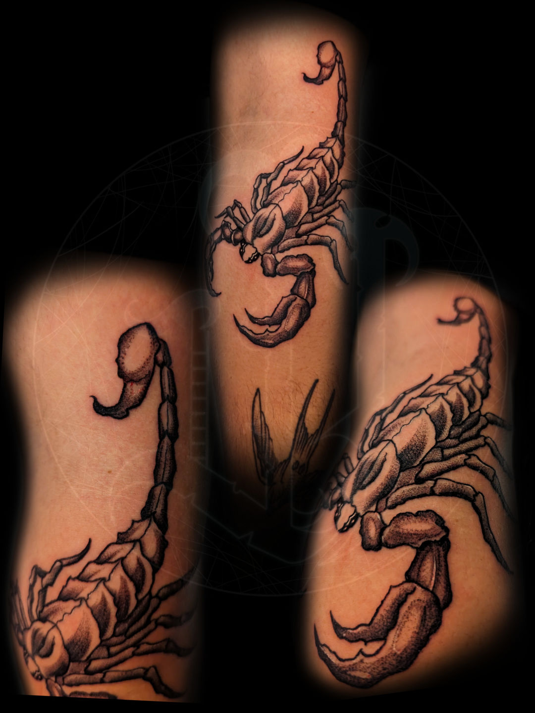 3D scorpion tattoo by Ognjena on DeviantArt