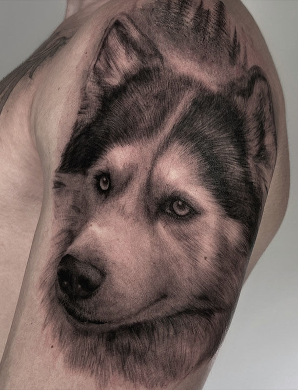 Husky Tattoo, husky tattoo ideas, siberian husky tattoo, small husky tattoo,  simple husky tattoo | Tatuaggi, Tatoo, Idee