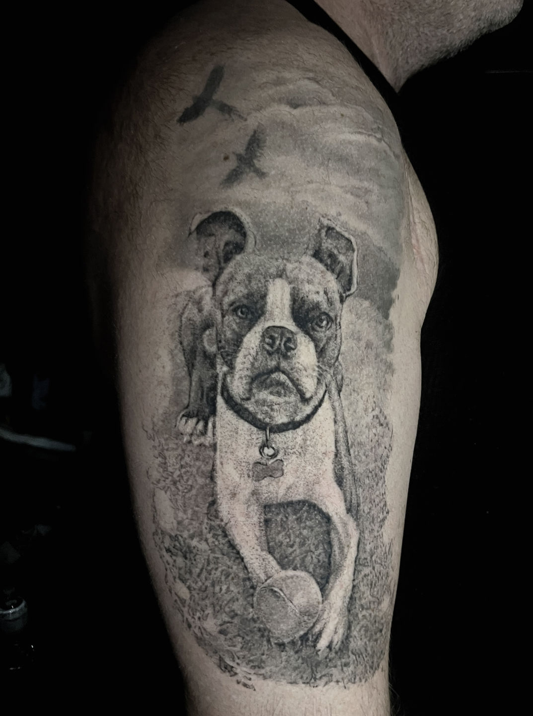 Dogtattoo